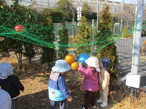 乳児庭にネットを設定してボールを置いてみると、興味津々でこどもたちが集まってきました