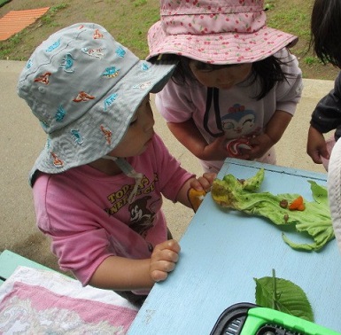 子どもたちがカタツムリの様子を眺めている写真