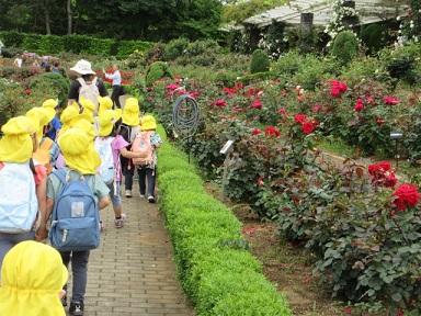 谷津バラ園のレンガ道を子どもたちが歩いている写真