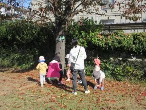 秋の庭でいいもの探しをしているこどもたち