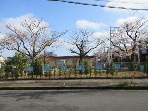 桜の花が咲いている谷津保育所の全景