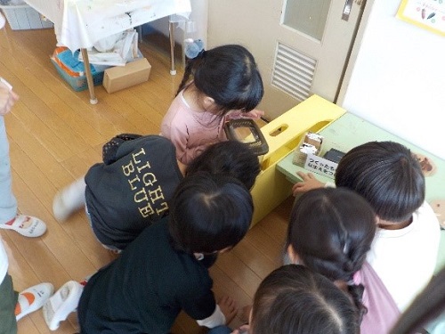 4歳がどんぐりから出てきた虫を観察している様子