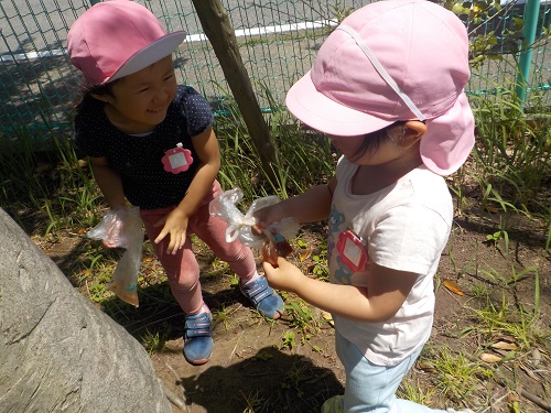 4歳児が桜の実をビニールに入れて潰している