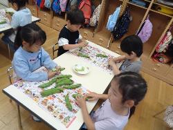 soramamewotenisiteirutokoro