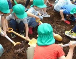 緑色の帽子を被った園児たちがスコップを持って土を柔らかくほぐしている様子の写真
