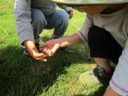 手でダンゴムシを触っている2名の園児の写真