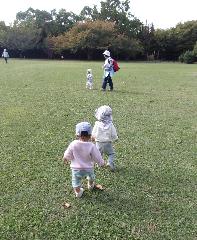 広い原っぱを散策する0歳児