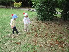 クリを見つけた2歳児