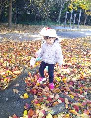 葉っぱの上を歩く1歳児