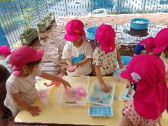 氷の冷たさを楽しんでいる様子
