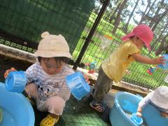 水に触れる心地よさを味わっている様子