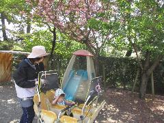 避難車に乗って散歩をしている様子