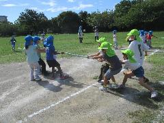 5歳児が綱取りをしているところ