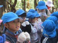 クロモジの匂いをかぐところ