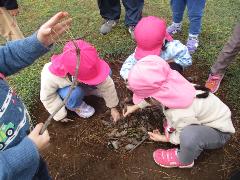 松ぼっくりで遊ぶ3歳児