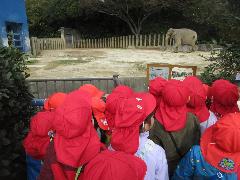大きな象を見ているところ