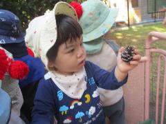 松ぼっくりを手にとる1歳児