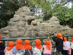 サル山で猿を見ているところ