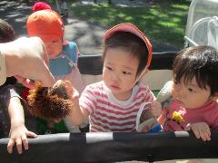 1歳児戸外遊びの様子