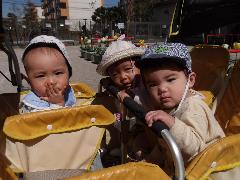 0歳児 散歩の様子