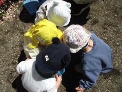 1歳児 散歩の様子