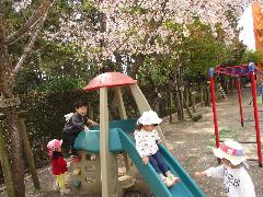 2歳児 散歩の様子