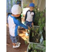 4歳児登園日の様子