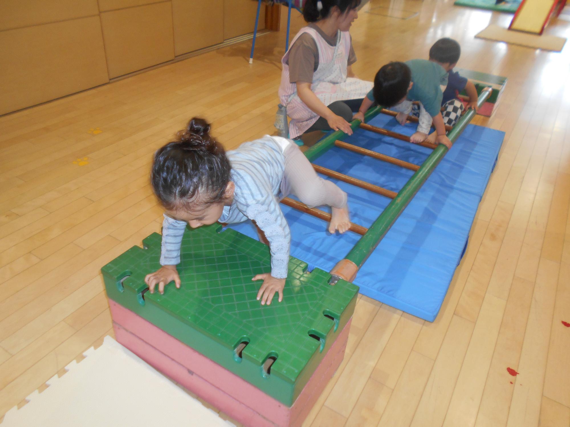 2歳