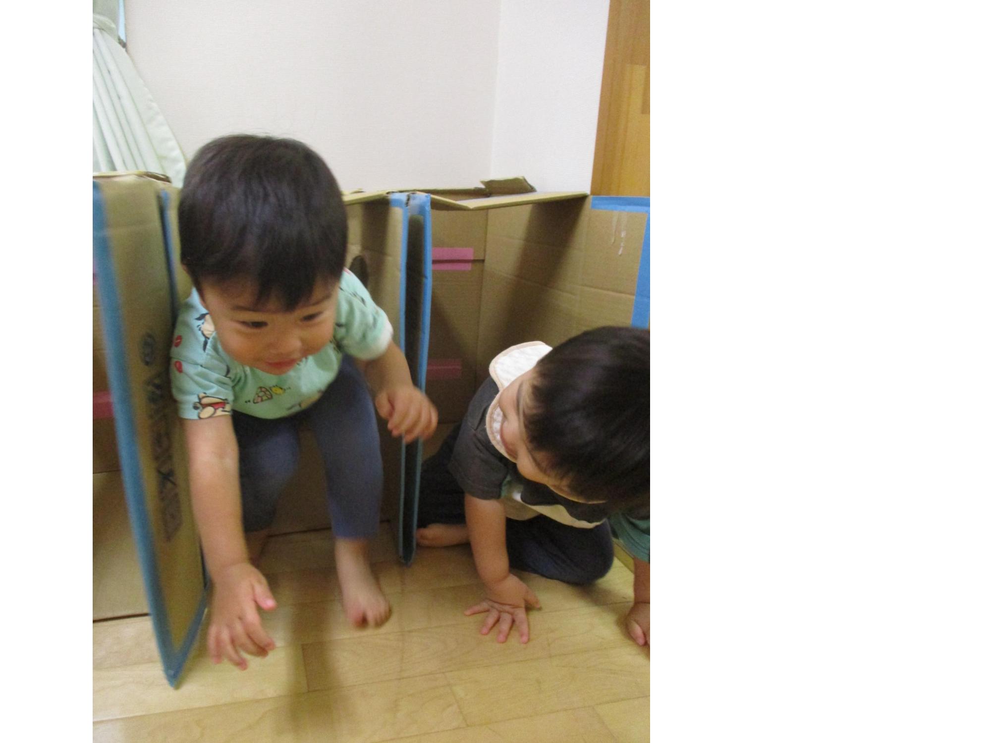 1歳