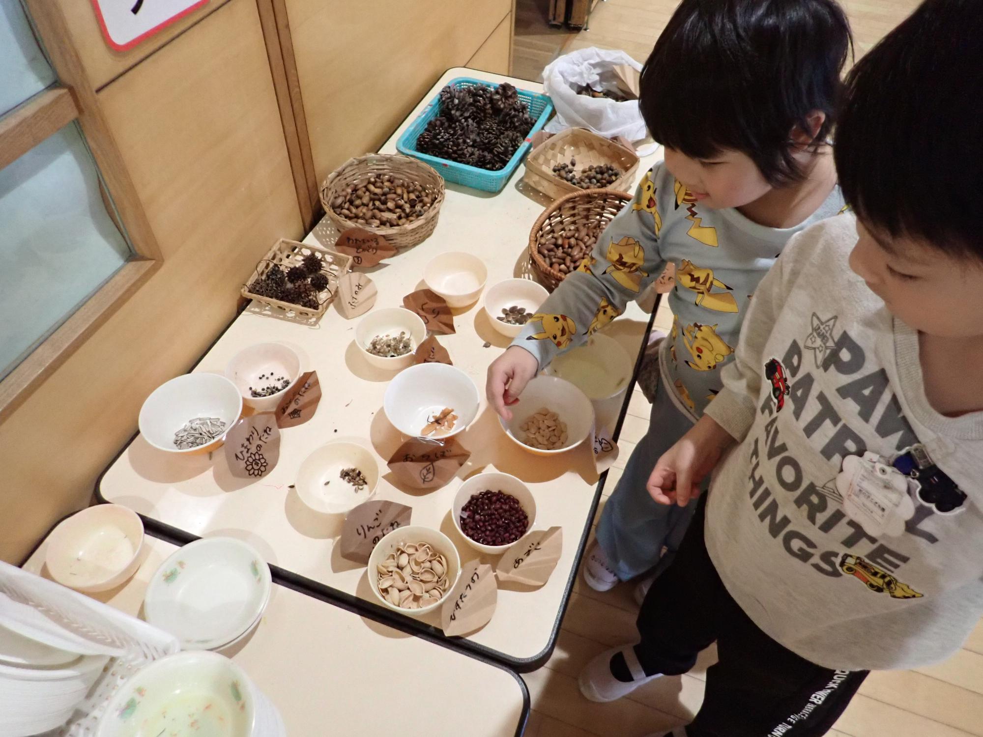 自然物が並んでいます