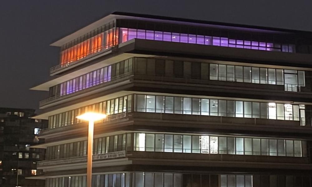 庁舎ライトアップの様子