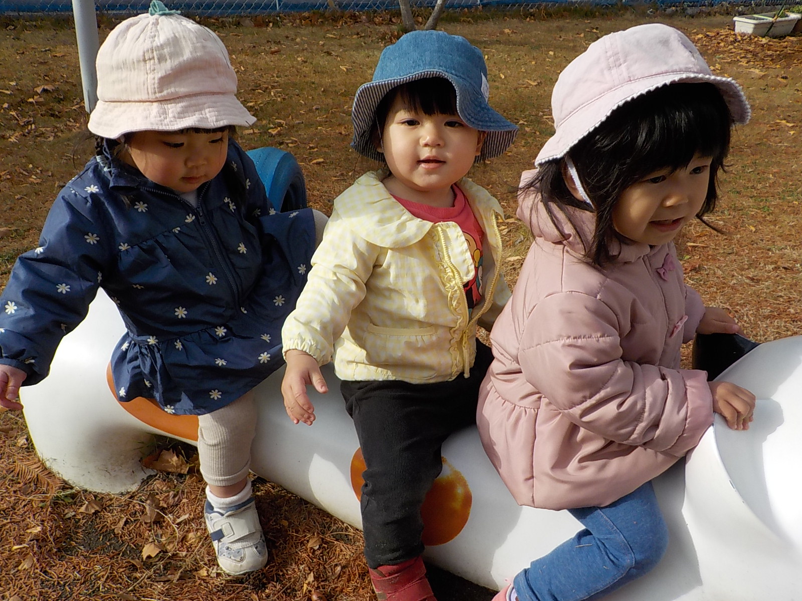 ねこのおきもの