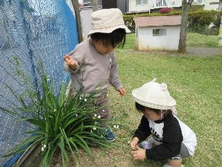 お花を見つけたよ