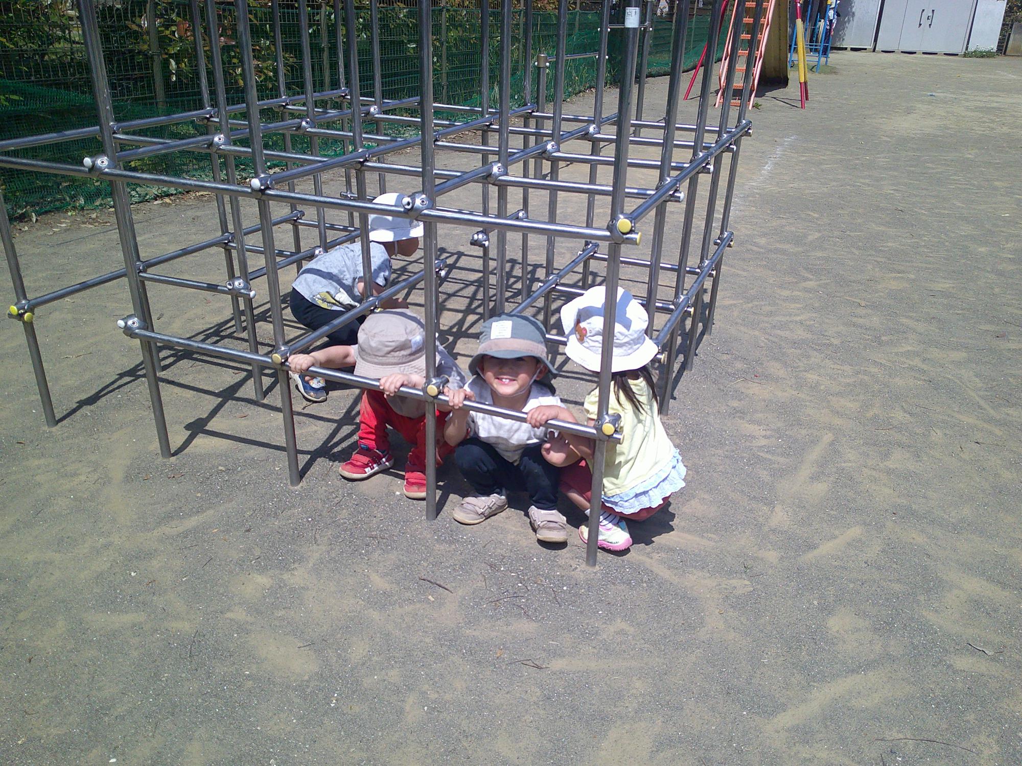 DSCN3988