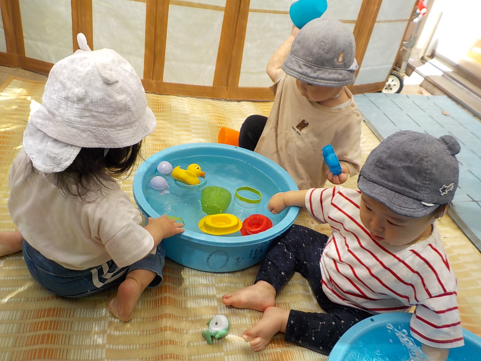 ひよこ水遊び