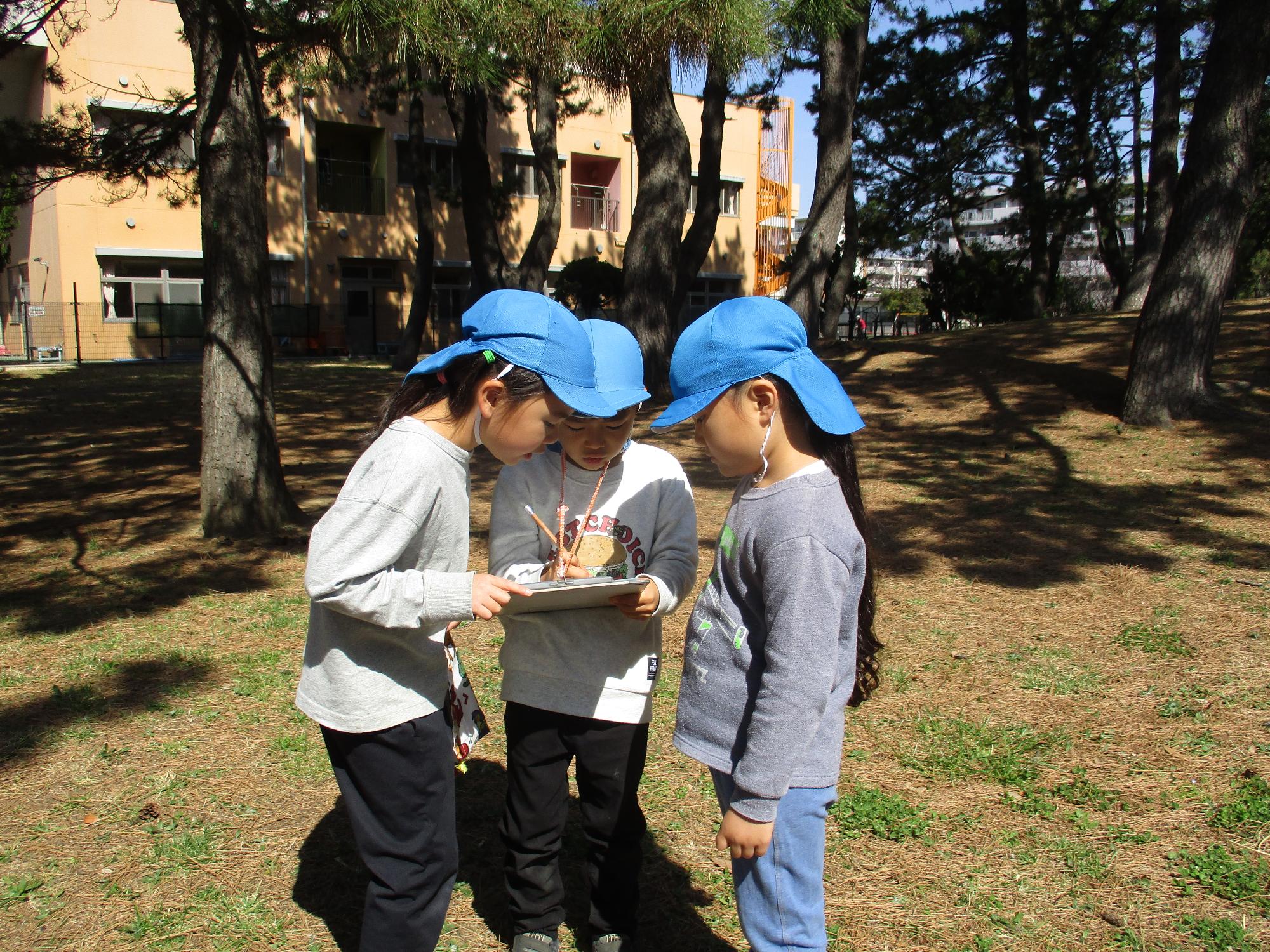 ネイチャーゲーム