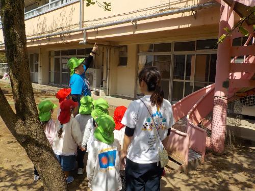 年長組が年少組に園庭を案内して遊び方を知らせています