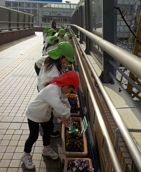 京成谷津駅に咲いているプランターの花々に水遣りに行きました。