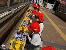 赤い帽子を被った子供たちがペットボトルを持ち、歩道の横にある花壇に水をあげている様子の写真