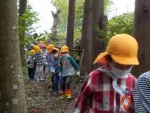 木々の間にある道を散策している黄色の帽子を被った子供たちの写真