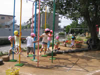 園庭に設置された固定遊具で遊んでいる園児たちの写真