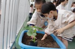 マスク姿の男の子2名が青いプランターに夏野菜を植えている写真