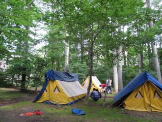 林の中でテントを設営している写真