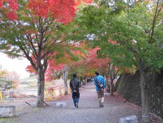 鮮やかに色づいている紅葉の下を歩いている2名の男性の写真