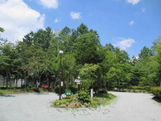 中央と周囲を樹木に囲まれた駐車場の写真