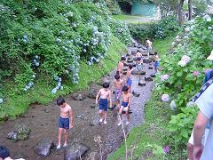 男の子たちが小川に入り鱒を探している写真