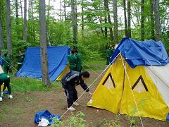 林の中でテントの設営体験を行っている生徒たちの写真
